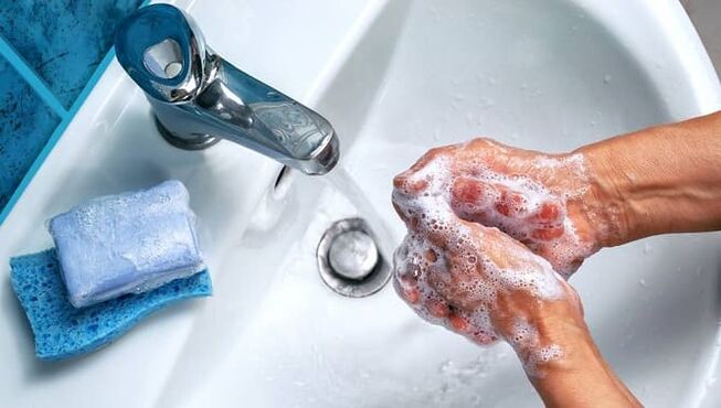 hand washing from pests