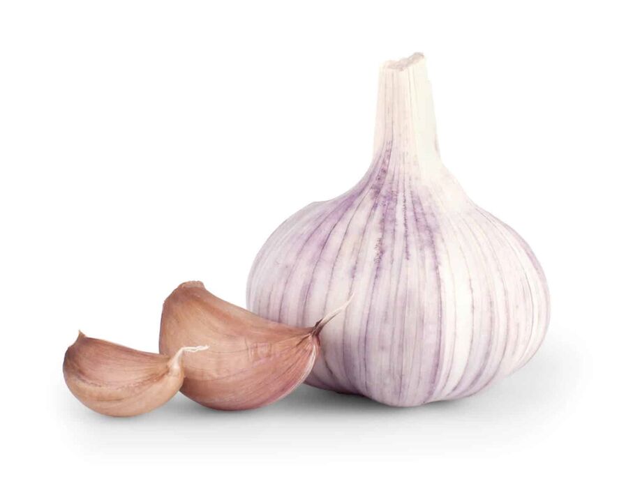 garlic for pests